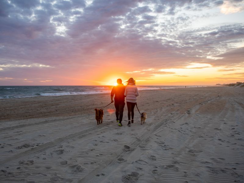 DogFriendly Beaches in North Carolina
